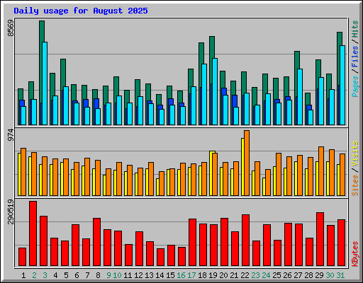 Daily usage for August 2025