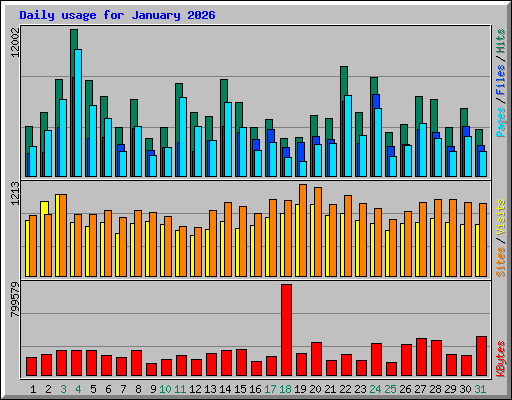 Daily usage for January 2026