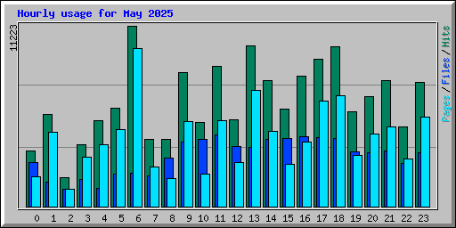 Hourly usage for May 2025