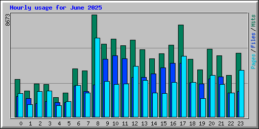 Hourly usage for June 2025