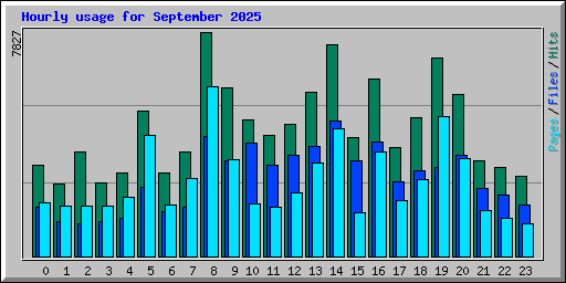 Hourly usage for September 2025