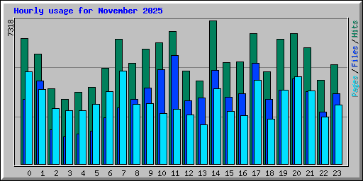 Hourly usage for November 2025
